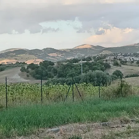 Claudi Καμερίνο